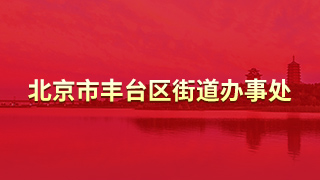 北京市丰台区丰台街道办